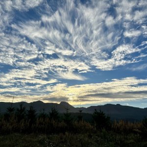 IMG_2572.jpeg