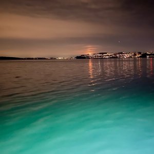 IMG_4877.jpeg