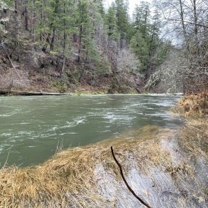 IMG_4057.jpeg