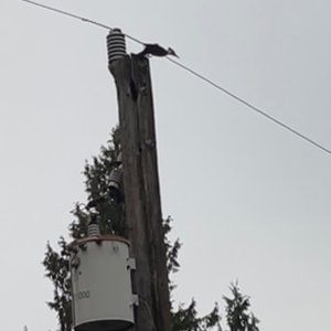 IMG_3250.jpeg