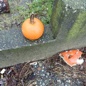 IMG_0251.jpeg