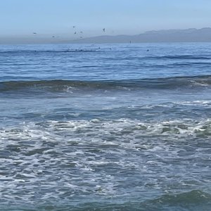 IMG_4912.jpg
