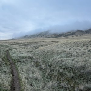 IMG_0148.jpeg