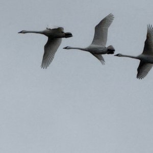 IMG_0159.jpeg