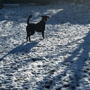 IMG_2620.jpeg