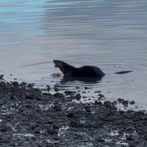 IMG_0454.jpeg