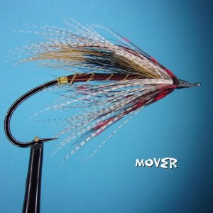 Mover.jpg