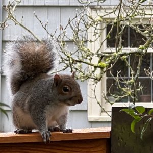 IMG_0463.jpeg