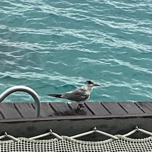 IMG_0024.jpeg