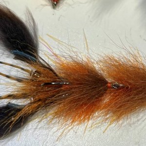 crawdaddy1.jpg