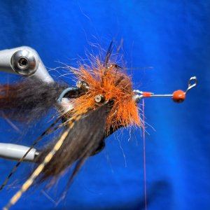 crawdaddy2.jpg