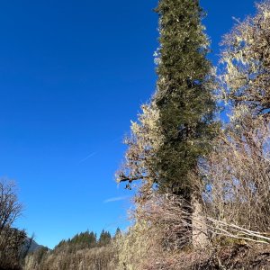 IMG_3397.jpeg