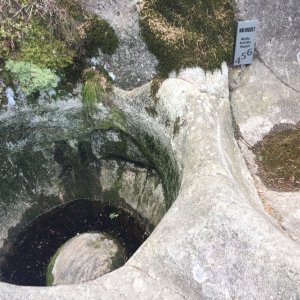 IMG_2264.jpeg