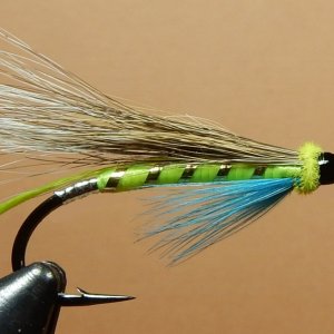 Lucas Special 1080.JPG