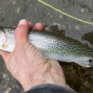 IMG_5700.jpeg