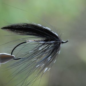 dave_s_flies_0451.jpg