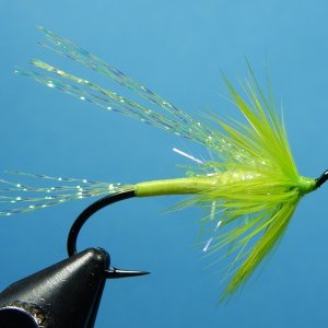 Kilchis Killer 1080.JPG
