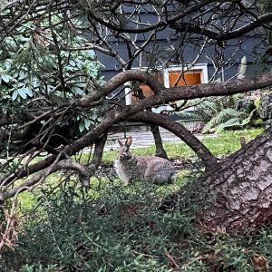 IMG_3443.jpeg