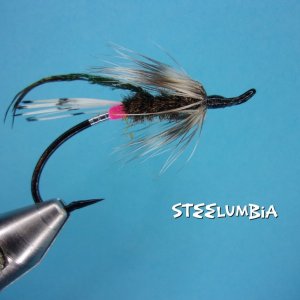 Steelumbia.jpg