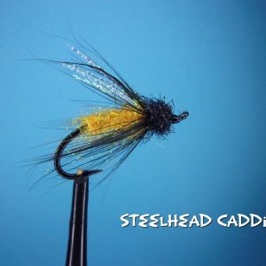 Steelhead Caddis.jpg