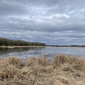 IMG_4178.jpeg