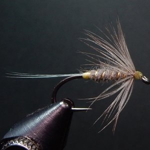 Old Blue Dun 2 1080.JPG
