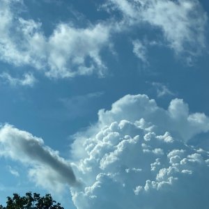 IMG_4437.jpeg