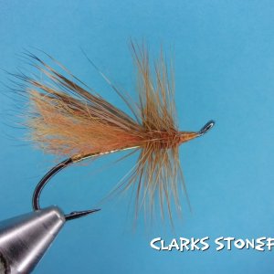 Clarks Stonefly.jpg