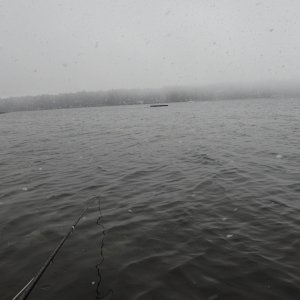 IMG_0720.jpeg