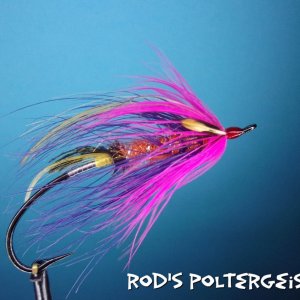 rods polterguise.jpg