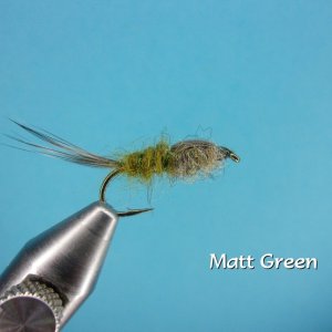 Matt Green.jpg
