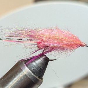 PXL_20250204_221937017.jpg