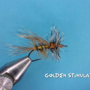 Golden Stimulator.jpg