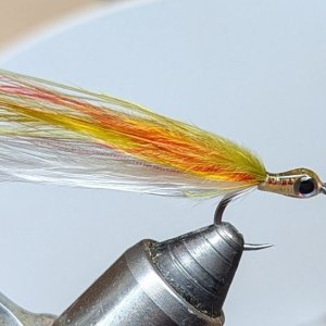 PXL_20250207_021513094.jpg