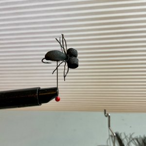 IMG_0058.jpeg