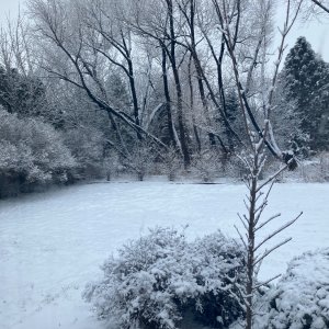 IMG_0915.jpeg