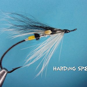 Harding Special.jpg