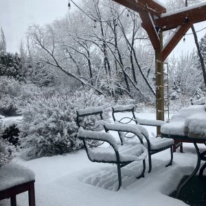 IMG_0916.jpeg
