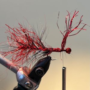 IMG_5725.jpeg
