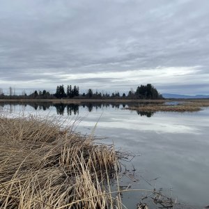 IMG_4266.jpeg