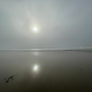 IMG_5149.jpeg