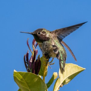 20250225-ACUU6787-2.jpg