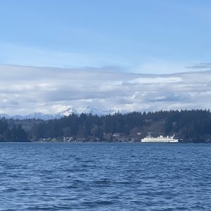 IMG_8819.jpeg
