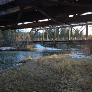20250228_171119.jpg