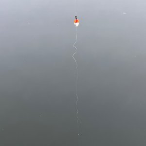 IMG_7390.jpeg