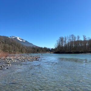 IMG_1936.jpeg