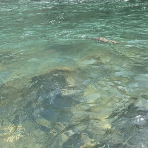 IMG_4329.jpeg