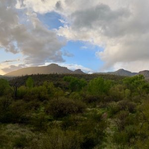 IMG_2891.jpeg