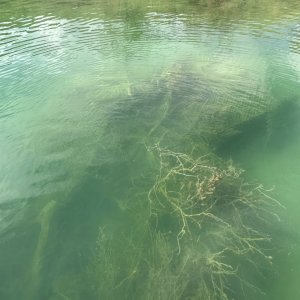 IMG_0798.jpeg