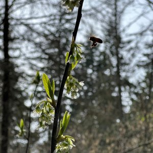 IMG_0439.jpeg